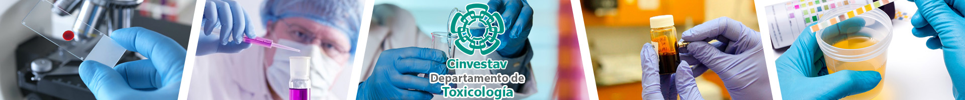 Cinvestav